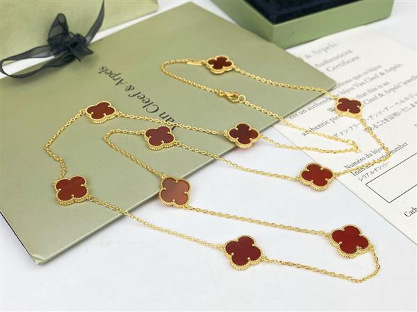 2024210162118661 105